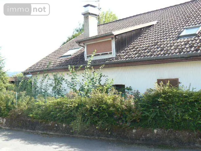 Appartement a vendre Remiremont 88200 Vosges 88 180 m2 10 pièces 115000 euros 2292 016