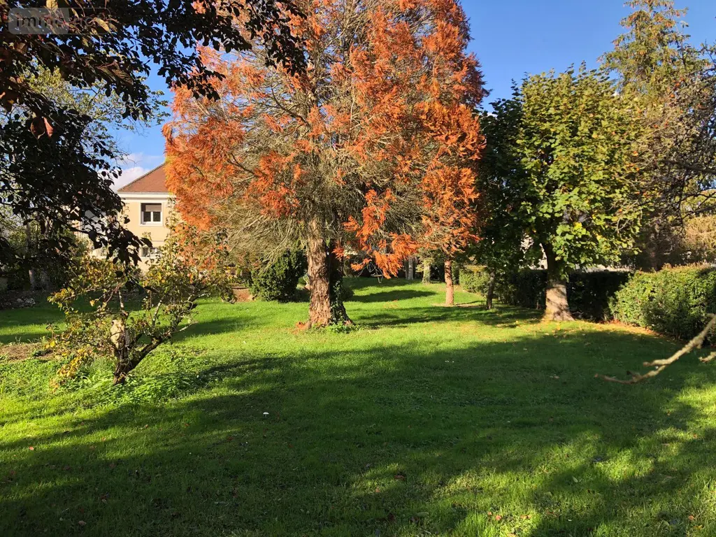 Maison a vendre Issoudun 36100 Indre 36 130 m2 5 pièces 241040 euros 11813/1556 018