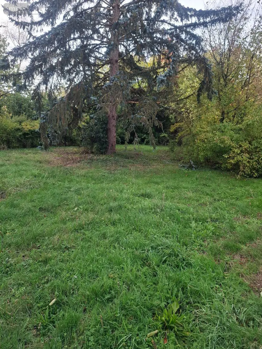 Maison a vendre La Chapelotte 18250 Cher 18 66 m2 3 pièces 55000 euros 18016/2261 002