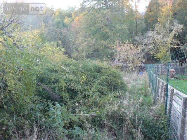 Maison a vendre Senones 88210 Vosges 88 56 m2 4 pièces 32000 euros 2293 011