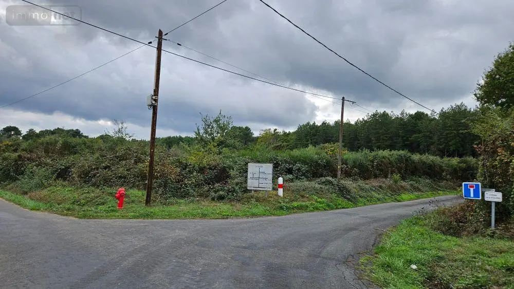 Terrains de loisirs bois etangs a vendre Roëzé-sur-Sarthe 72210 Sarthe 72 7000 euros HB-1901 002