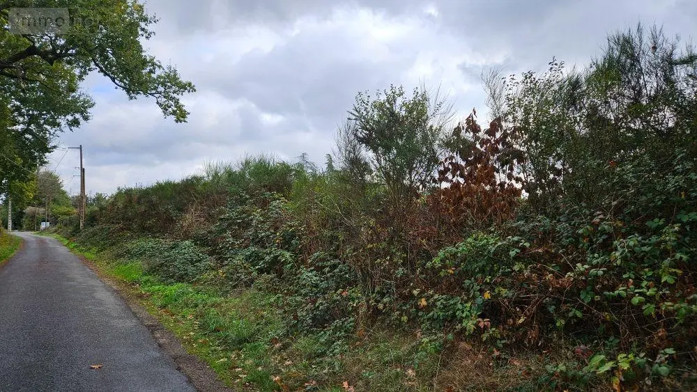 Terrains de loisirs bois etangs a vendre Roëzé-sur-Sarthe 72210 Sarthe 72 7000 euros HB-1901 003