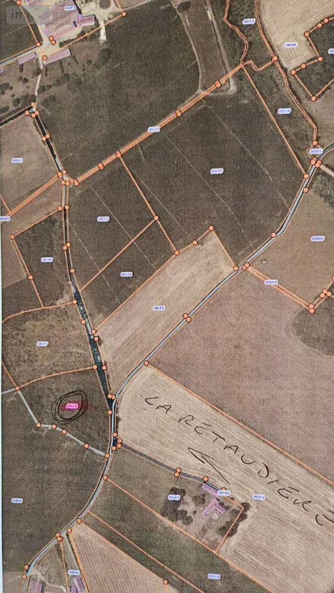 Terrains de loisirs bois etangs a vendre Ligron 72270 Sarthe 72 8000 euros HB-1902 004