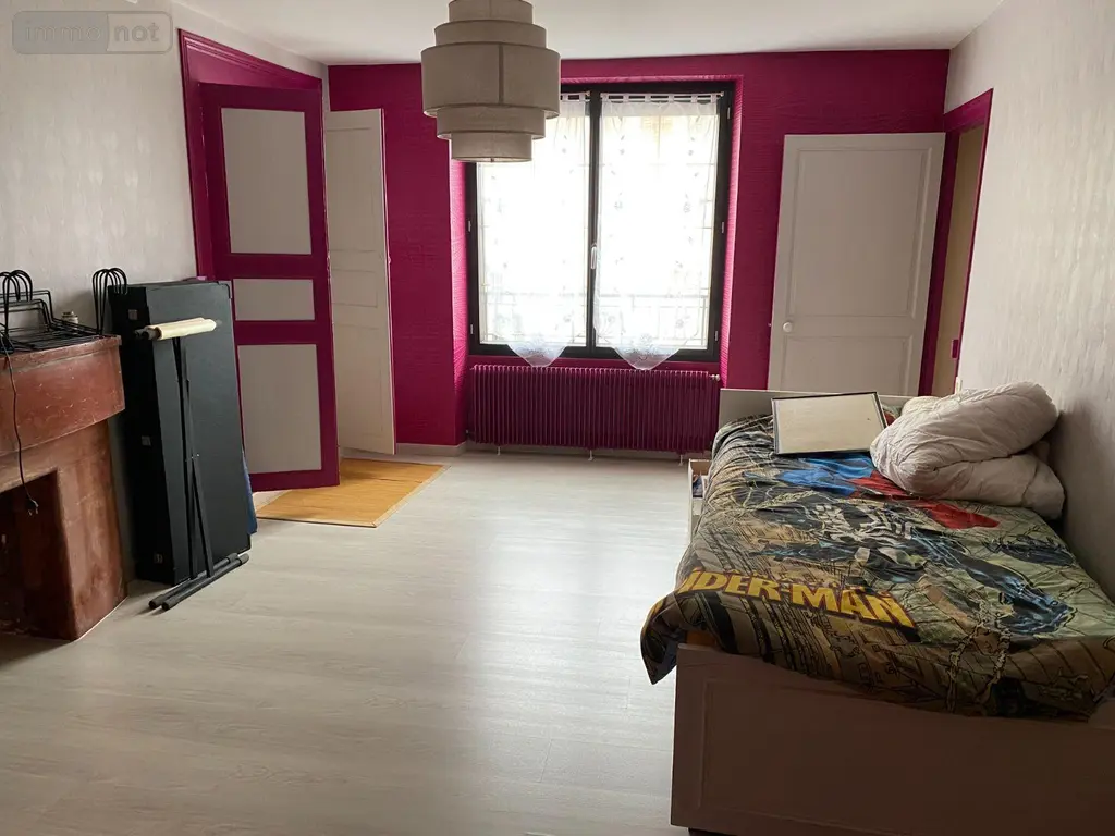 Maison a vendre Palluau-sur-Indre 36500 Indre 36 225 m2 10 pièces 176000 euros 1053159 007