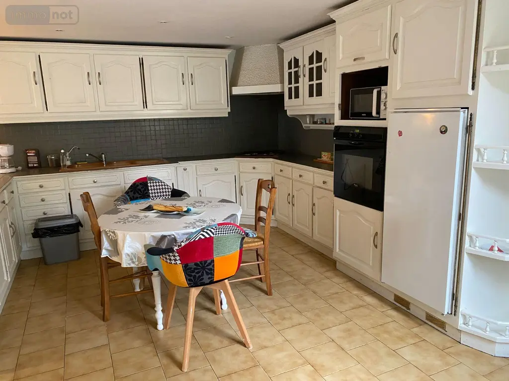 Maison a vendre Palluau-sur-Indre 36500 Indre 36 225 m2 10 pièces 176000 euros 1053159 003