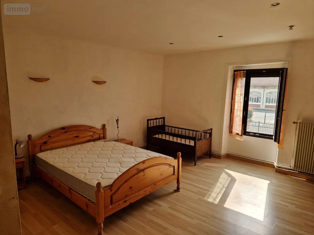 Maison a vendre Palluau-sur-Indre 36500 Indre 36 225 m2 10 pièces 176000 euros 1053159 006