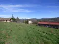 Terrain a batir a vendre Neffes 05000 Hautes-Alpes 05 17000 m2 1 euros 001/1590 008