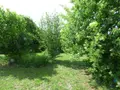 Maison a vendre Gap 05000 Hautes-Alpes 05 112 m2 5 pièces 350000 euros 001/1591 005