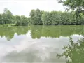 Terrains de loisirs bois etangs a vendre Fraillicourt 08220 Ardennes 08 98600 euros 021/1750 003