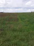 Terrain a batir a vendre Brienne-sur-Aisne 08190 Ardennes 08 607 m2 53500 euros 021/1763 003