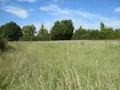 Terrain a batir a vendre Asfeld 08190 Ardennes 08 1300 m2 53000 euros 021/1764 002