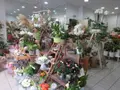 Fonds et murs commerciaux a vendre Rethel 08300 Ardennes 08 65 m2 292000 euros 021/1766 003