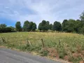 Terrain a batir a vendre Tanavelle 15100 Cantal 15 2900 m2 63600 euros 044/1033 002