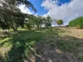 Terrain a batir a vendre Saint-Flour 15100 Cantal 15 1563 m2 49100 euros 044/1115 004