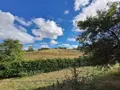 Terrain a batir a vendre Saint-Flour 15100 Cantal 15 1563 m2 49100 euros 044/1115 005