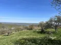 Terrain a batir a vendre Châtellenot 21320 Côte-d'Or 21 1760 m2 35000 euros 044/2026/136 001