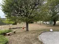 Maison a vendre Sombernon 21540 Côte-d'Or 21 120 m2 5 pièces 320000 euros 044/2026/148 009