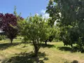 Maison a vendre Morieux 22400 Côtes-d'Armor 22 98 m2 4 pièces 186010 euros 025/2618 010