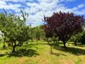 Maison a vendre Morieux 22400 Côtes-d'Armor 22 98 m2 4 pièces 323950 euros 025/2640 009
