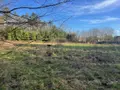 Terrain a batir a vendre Caulnes 22350 Côtes-d'Armor 22 4970 m2 251520 euros 121/1005 002
