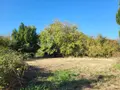 Terrain a batir a vendre Bussière-Dunoise 23320 Creuse 23 900 m2 10080 euros 1172 001