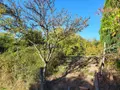 Terrain a batir a vendre Bussière-Dunoise 23320 Creuse 23 900 m2 10080 euros 1172 004