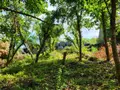 Maison a vendre Dun-le-Palestel 23800 Creuse 23 50 m2 4 pièces 22400 euros 1245 012