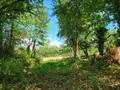 Maison a vendre Dun-le-Palestel 23800 Creuse 23 50 m2 4 pièces 22400 euros 1245 013