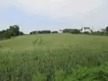 Maison a vendre Plouhinec 29780 Finistère 29 1 m2 1 pièce 170523 euros 020/3662 003