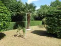 Maison a vendre Audierne 29770 Finistère 29 120 m2 7 pièces 239660 euros 020/3688 010