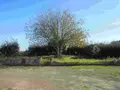 Maison a vendre Plozévet 29710 Finistère 29 125 m2 6 pièces 270920 euros 020/3697 007