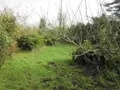 Maison a vendre Primelin 29770 Finistère 29 1 m2 1 pièce 74200 euros 020/3725 003