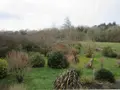 Maison a vendre Primelin 29770 Finistère 29 111 m2 6 pièces 321904 euros 020/3726 010