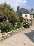 Maison a vendre Île-de-Sein 29990 Finistère 29 1 m2 3 pièces 125760 euros 020/3764 014