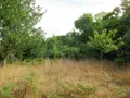 Maison a vendre Audierne 29770 Finistère 29 1 m2 6 pièces 157200 euros 020/3792 010
