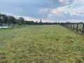 Terrain a batir a vendre Treffiagat 29730 Finistère 29 819 m2 136500 euros 023/1456 002