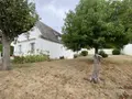 Maison a vendre Combrit 29120 Finistère 29 132 m2 7 pièces 551200 euros 023/1628 006