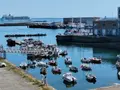 Appartement a vendre Brest 29200 Finistère 29 116 m2 4 pièces 376000 euros 041/232 001