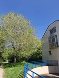 Appartement a vendre Rennes 35000 Ille-et-Vilaine 35 77 m2 4 pièces 265000 euros 006/2152 002