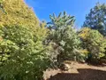 Appartement a vendre Rennes 35000 Ille-et-Vilaine 35 77 m2 4 pièces 265000 euros 006/2152 006