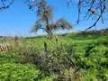 Terrain a batir a vendre Melesse 35520 Ille-et-Vilaine 35 601 m2 172350 euros 019/5308 JLLA 003