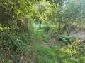 Terrain a batir a vendre Nouvoitou 35410 Ille-et-Vilaine 35 926 m2 146000 euros 097/2810 002