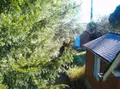 Maison a vendre Saint-Coulomb 35350 Ille-et-Vilaine 35 172 m2 7 pièces 1021072 euros 103/849 002