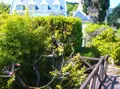 Maison a vendre Saint-Malo 35400 Ille-et-Vilaine 35 226 m2 8 pièces 1958372 euros 103/859 019