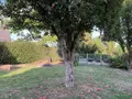 Maison a vendre Plouër-sur-Rance 22490 Côtes-d'Armor 22 112 m2 5 pièces 289772 euros 103/879 014