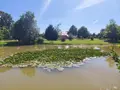 Maison a vendre Martigné-Ferchaud 35640 Ille-et-Vilaine 35 347 m2 12 pièces 551440 euros 122/3100 002