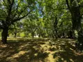 Maison a vendre Janzé 35150 Ille-et-Vilaine 35 41 m2 3 pièces 106000 euros 134/4383 013