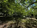 Maison a vendre Janzé 35150 Ille-et-Vilaine 35 41 m2 3 pièces 106000 euros 134/4383 009