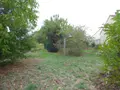 Maison a vendre Sainte-Anne-sur-Vilaine 35390 Ille-et-Vilaine 35 56 m2 2 pièces 101000 euros 136/5300 009
