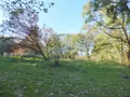 Maison a vendre Tresbœuf 35320 Ille-et-Vilaine 35 43 m2 2 pièces 126000 euros 136/5302 019